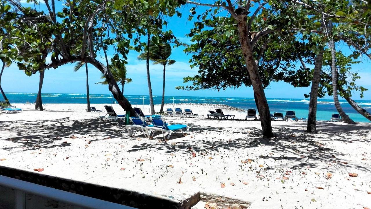 Beachfront Apt With Seaview Dining Patio Lägenhet Puerto Plata Exteriör bild