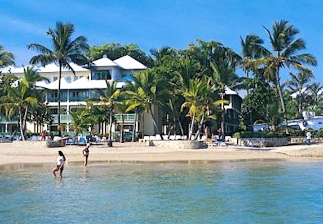 Beachfront Apt With Seaview Dining Patio Lägenhet Puerto Plata Exteriör bild